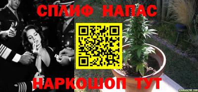 ПСИЛОЦИБИНОВЫЕ ГРИБЫ Пенза