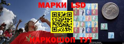 прущий лед Будённовск