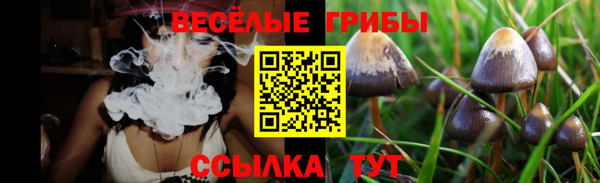 Галлюциногенные грибы Psilocybine cubensis Советская Гавань